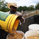 Image for article titled Black Farmers Call a Letter Sent by Banks to the USDA Warning Against Debt Forgiveness a Threat